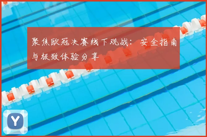 聚焦欧冠决赛线下观战：安全指南与极致体验分享