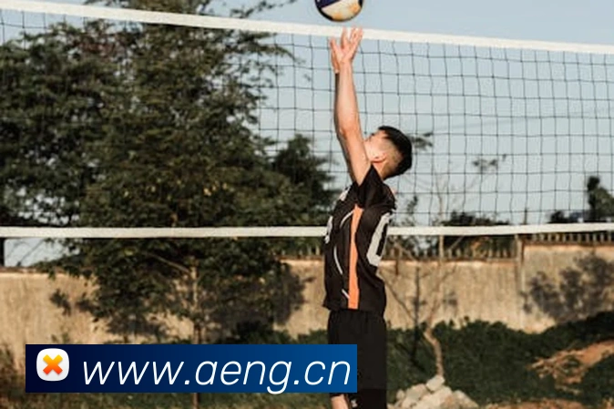 milan米兰官网入口平台生态图